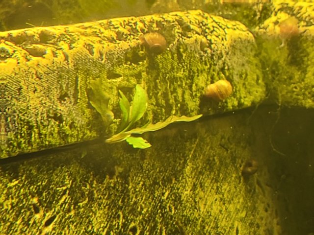 20250117_135339.jpg