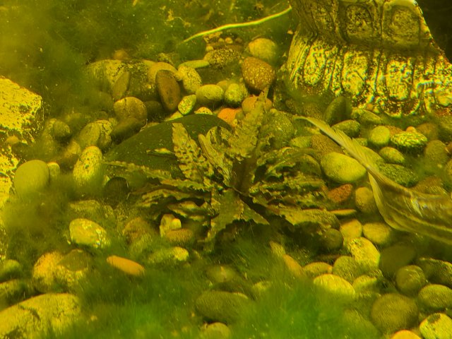 20250117_135354.jpg
