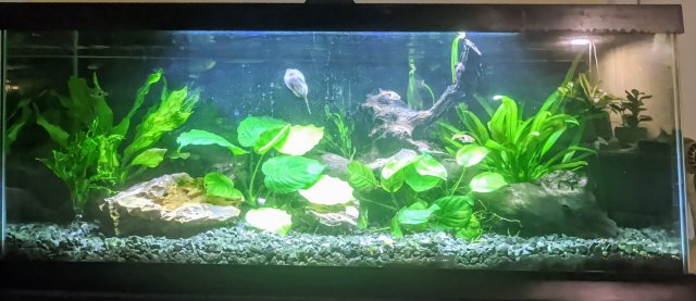 1739136585896.jpeg 1739136585896.jpeg