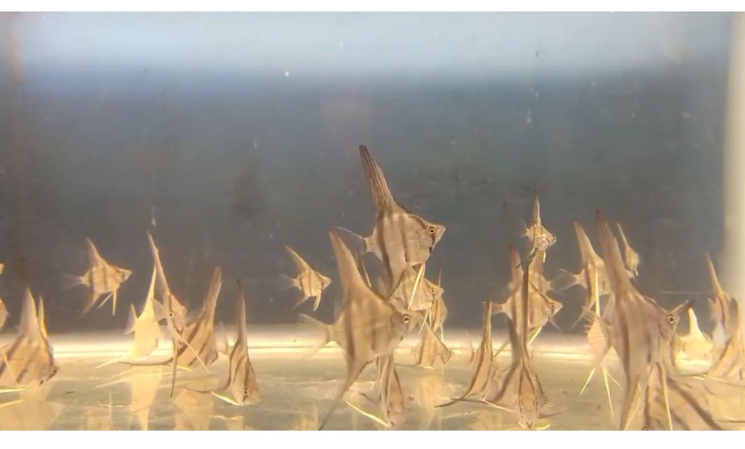 IMG_2345.jpeg IMG_2345.jpeg