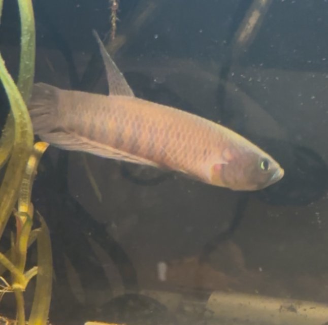 IMG_6067.jpeg IMG_6067.jpeg