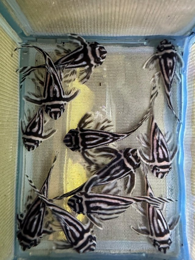 IMG_8769.jpeg IMG_8769.jpeg