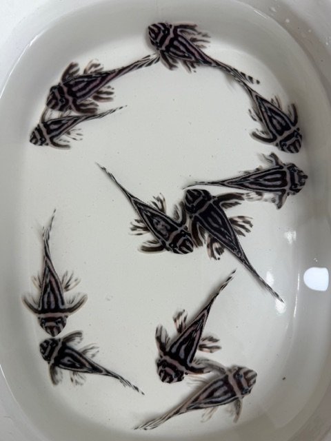 IMG_1811.jpeg IMG_1811.jpeg