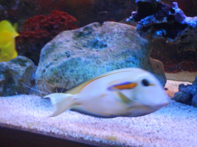 DSC00083.JPG
