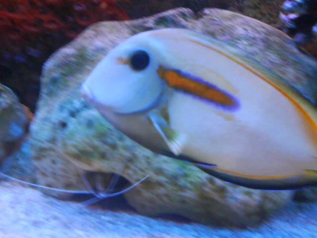 DSC00084.JPG