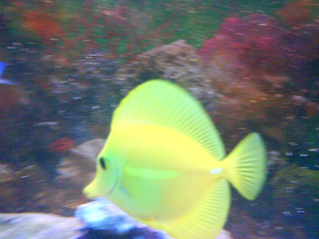 DSC00087.JPG