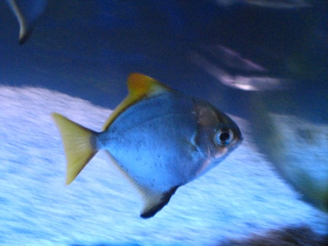 IMG_1311.JPG