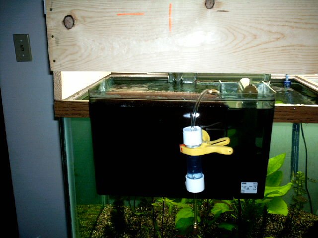 PICT0020.JPG