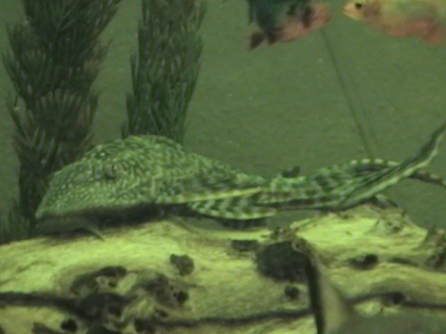 DVC00299.JPG