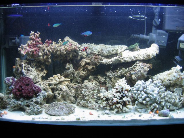 IMG_0965.JPG
