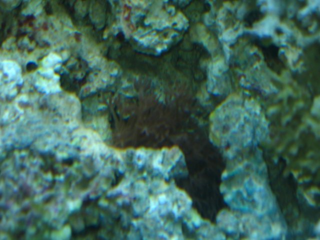 IMG_0968.JPG