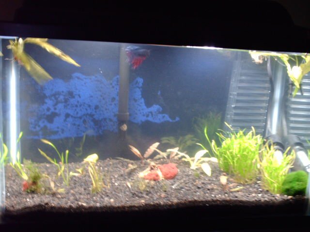 PICT0122.JPG