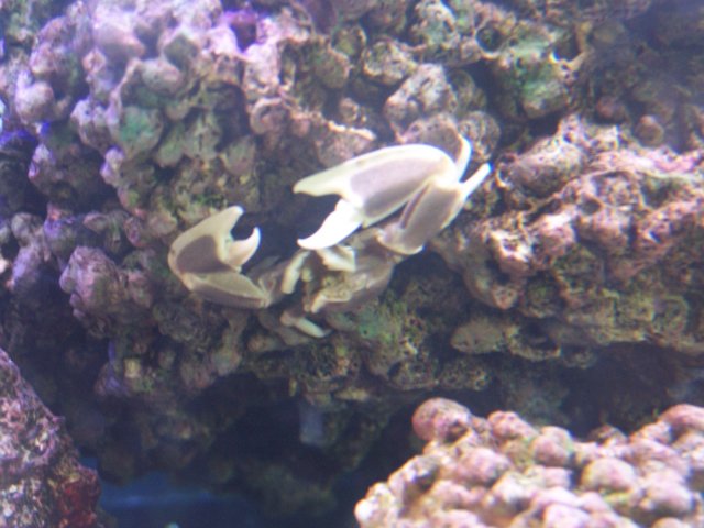 new tang 012.JPG