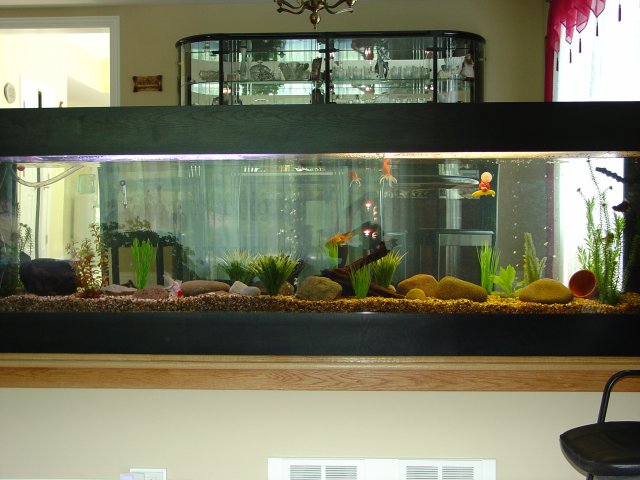 06-18-2007 001.jpg