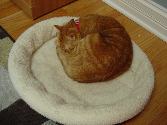 06-18-2007 005.jpg