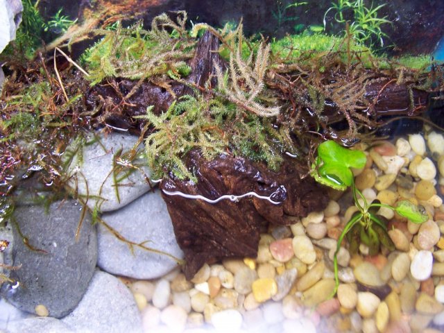 100_9068.jpg