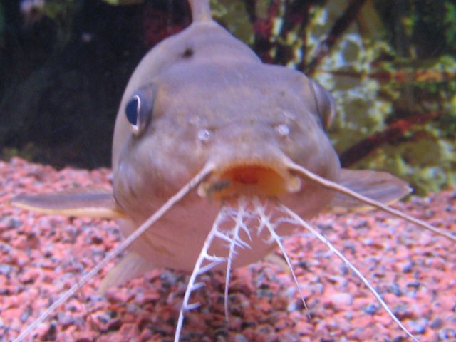 IMG_1404.JPG