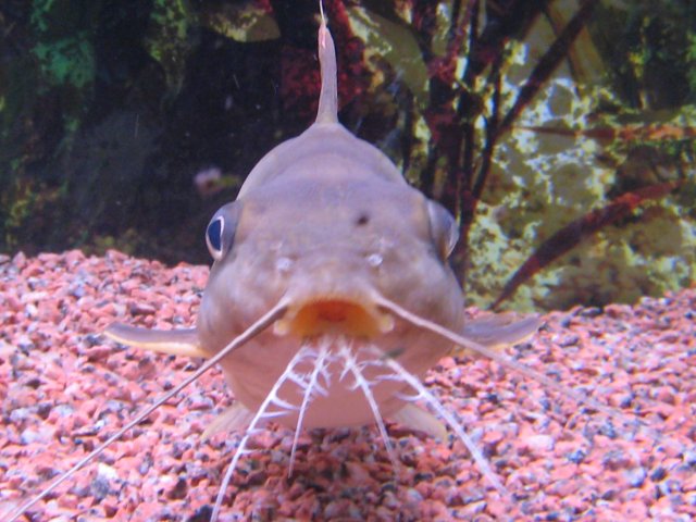 IMG_1403.JPG