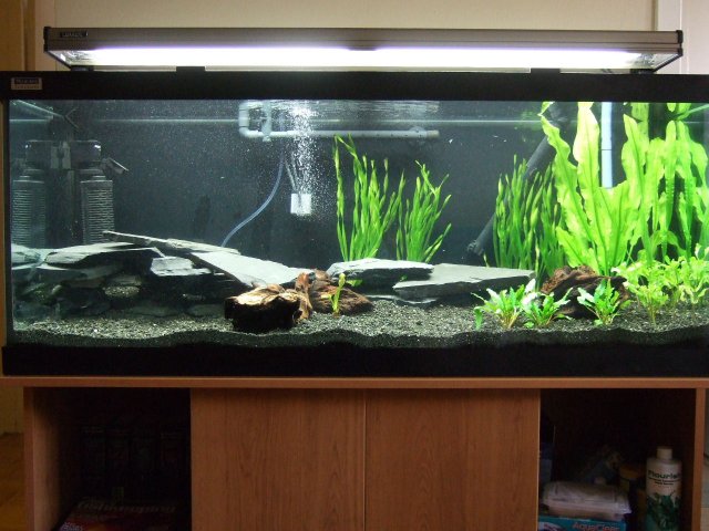 2007-07-02 65gal Full.JPG