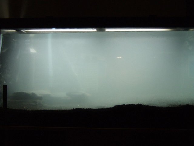 2007-07-03 50gal Full.JPG