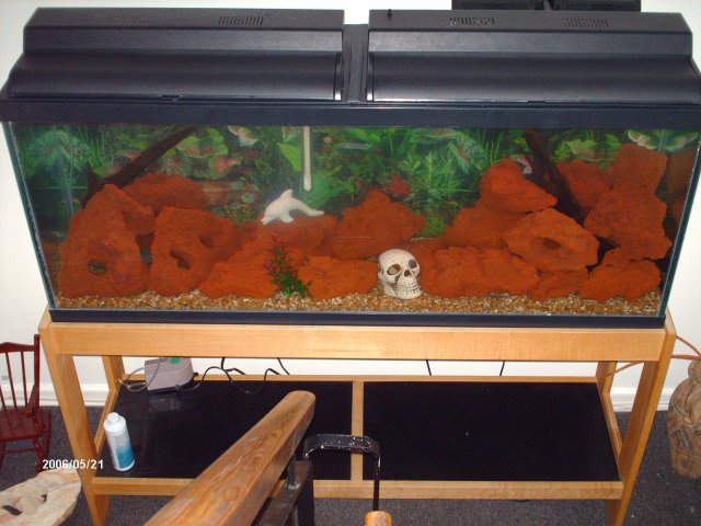 Picture 020.jpg