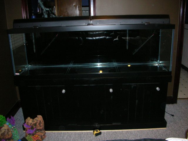 DSCN0576.JPG