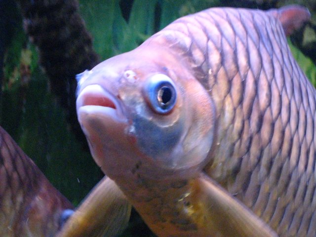 IMG_1457.JPG