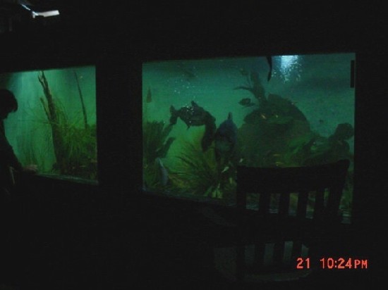Fishtank8.JPG