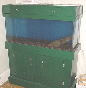 tank setup.jpg
