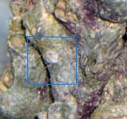 Untitled-1 copy.jpg
