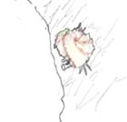 live rock sketch.jpg