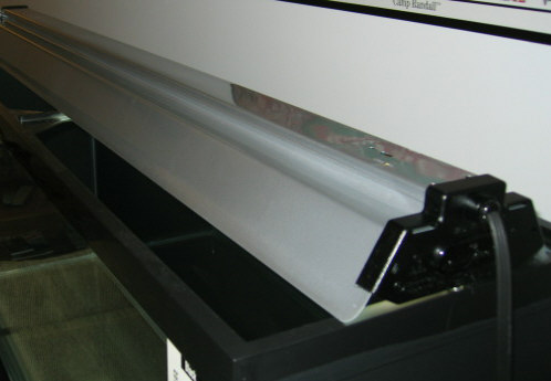 light close up 2.jpg