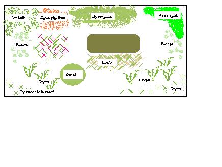 planted tank plan.JPG
