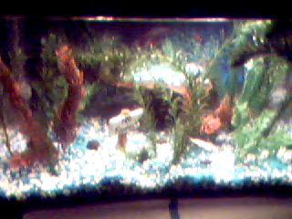Picture 002.jpg