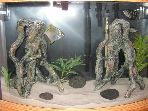 brackish.JPG