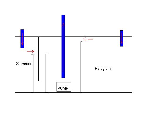 sump.JPG sump.JPG