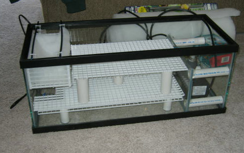 refugium full shot.jpg