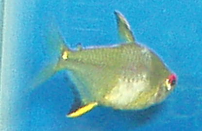 P1010001.JPG