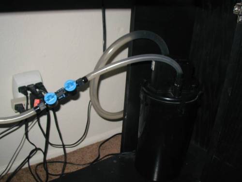 Fluval 303.jpg