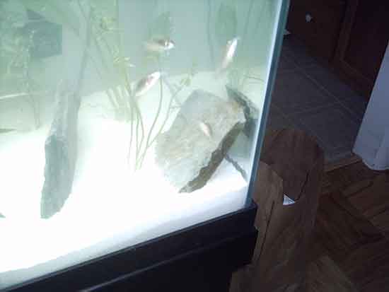 IMG00033.jpg