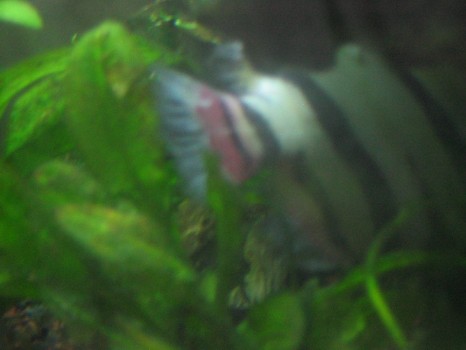 100_0099.JPG 100_0099.JPG