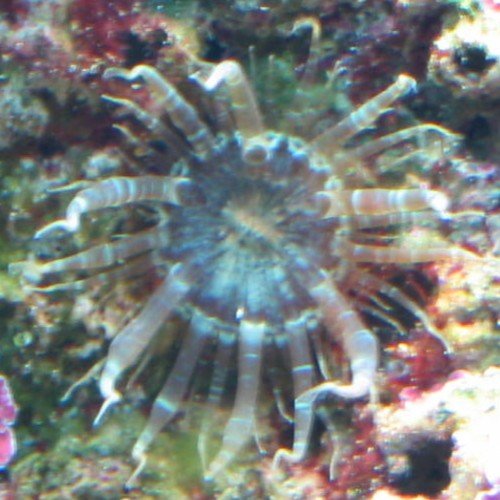 img415.JPG img415.JPG