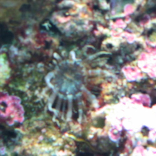 img413.JPG img413.JPG