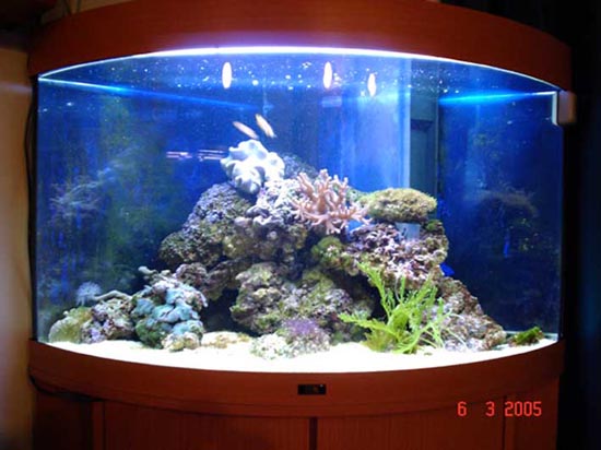 Marine-Tank2.jpg