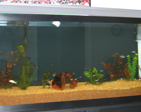 full tank pic.jpg