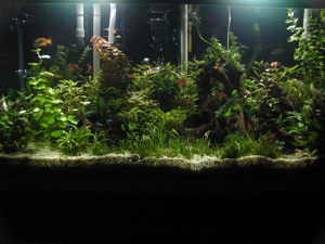 P1010002_1.jpg