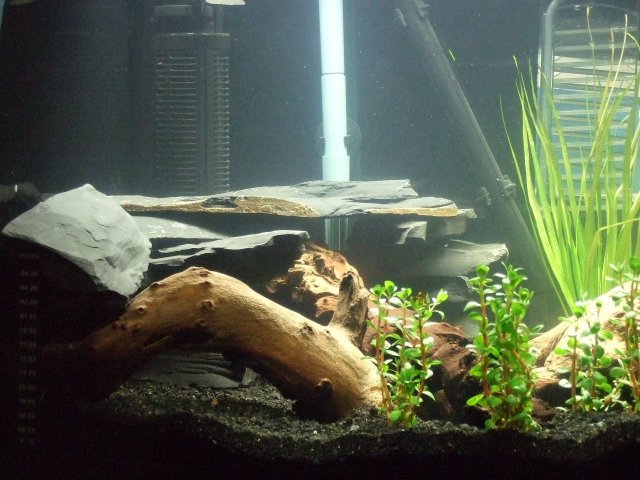 2007-07-04 50gal Left.JPG