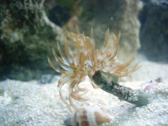 DSC04724.JPG