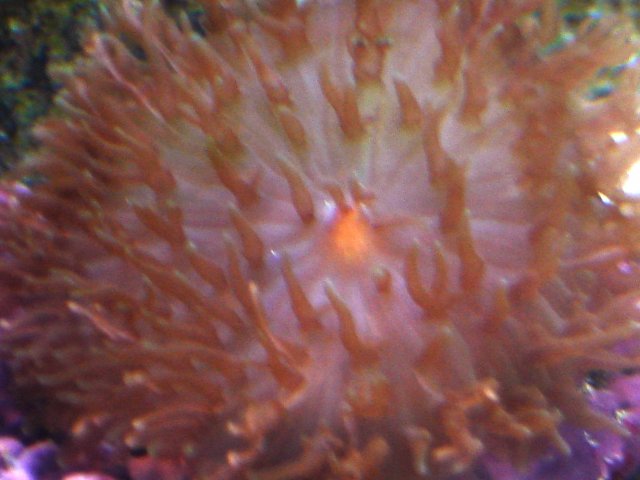 Picture 001.jpg