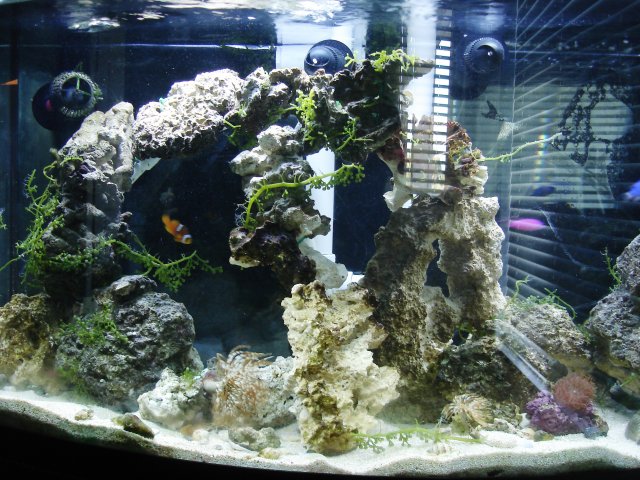 Picture 009.jpg